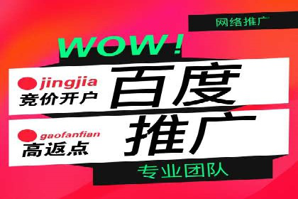 SEM优化公司实战案例：如何精准投放广告